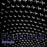 Frost Raven