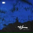 蒋蒋, 马旭东