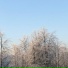 нексет ёмки