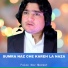 Falak Naz Marwat