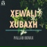 Pallab Borax