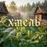 Жрец Нави