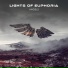 Lights of Euphoria