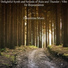 Dreamtime Music
