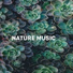 Nature Sound Collection, Nature Recordings