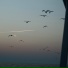 Василий Семенов