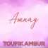 Toufik Ameur