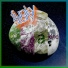 Various Artists