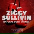 Ziggy Sullivin