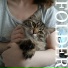 HOSHI?