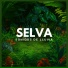 Sonidos De La Selva