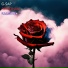 G-$AP, RADIOHAN, RASHMIK