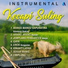 Instrumental Kecapi Suling