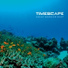 Timescape