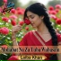 Laiba Khan