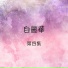 白麗華