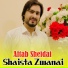 Aftab sheidai