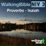 WalkingBible, Dan Weeks
