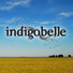Indigobelle