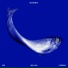 Moonmot