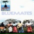 BLUEMATES