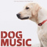 Relax My Dog, Dog Music Dreams