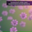 Luminous Landscapes