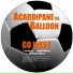 01. Acardipane vs. Balloon