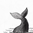 Escape Whale feat. Vesa Holmala, Petri Leino