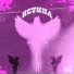 ze1nher, VitShuM
