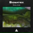 Biomatrix