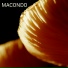 Macondo Trio