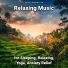 Calm Music, Relaxing Music, Yoga