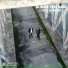 La Buze feat. Azed