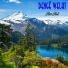 Denge Welat
