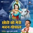 Shri Mridul Krishna Shastri ji maharaj