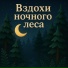 Медитация и расслабление