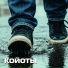 Койоты