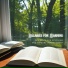 Focus on Brain