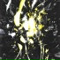 young die