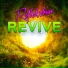 Reflekshun