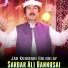 Sardar Ali Bannusai