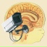 The Hidden Cameras