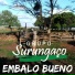 Grupo Surungaço