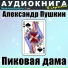 Аудиокнига в кармане, Максим Доронин
