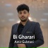 Amir Gulstani