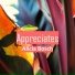 Alicia Bosch