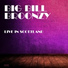 Big Bill Broonzy