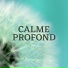 Xavier Calme