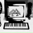 niedermeier & whitehead
